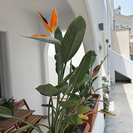 To Spitaki Sas, In Santorini! Mesaria Exterior foto
